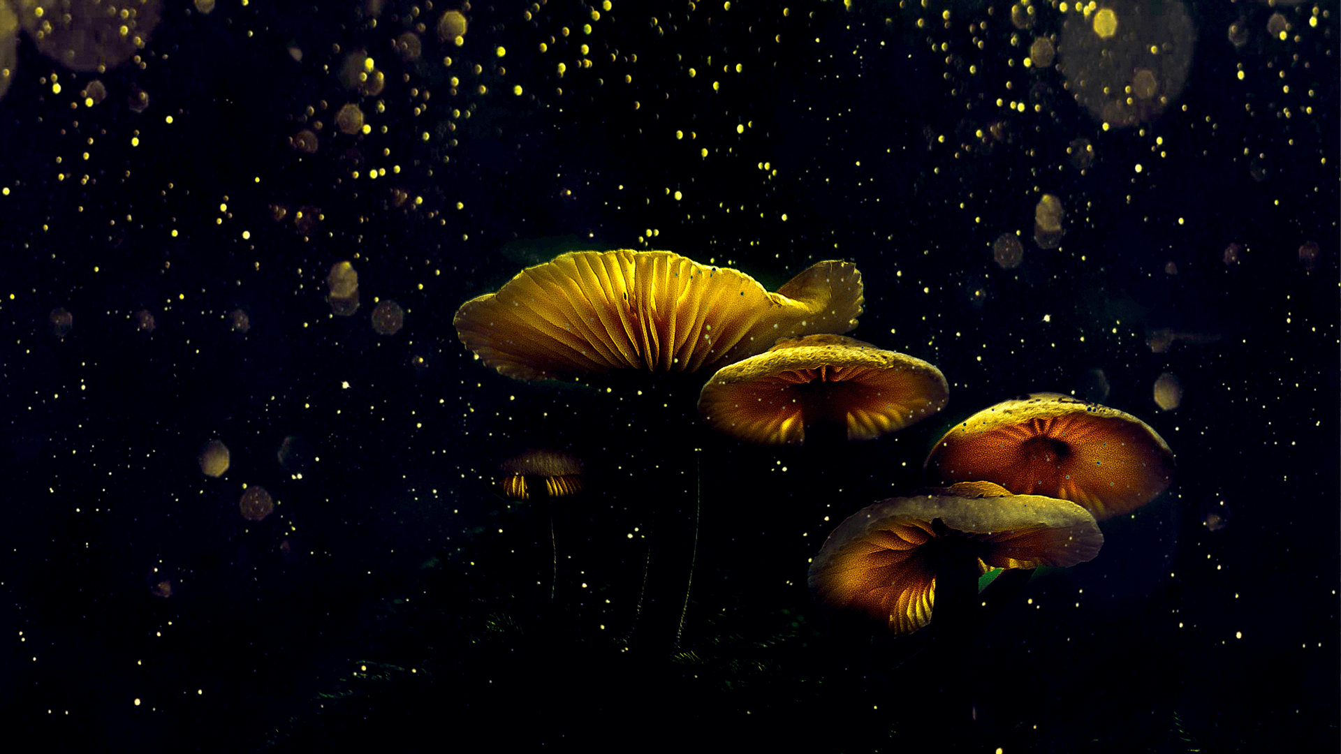 Nature.png